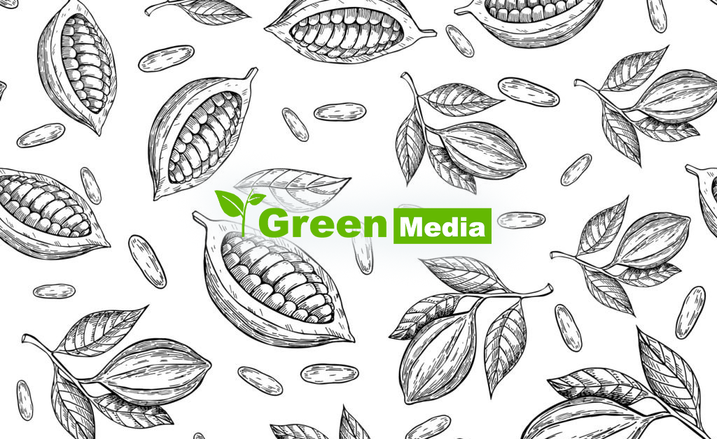 Formation internationale sur l’intelligence économique à  Lomé