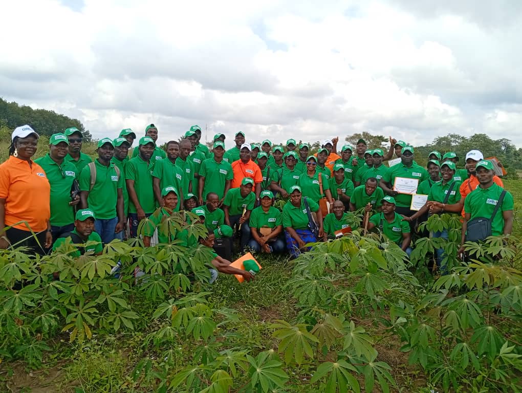 DES CHERCHEURS DU CNRA SE DÉPLOIENT À DADOU POUR UN ATELIER DE FORMATION DES PRODUCTEURS SEMENCIERS DE MANIOC