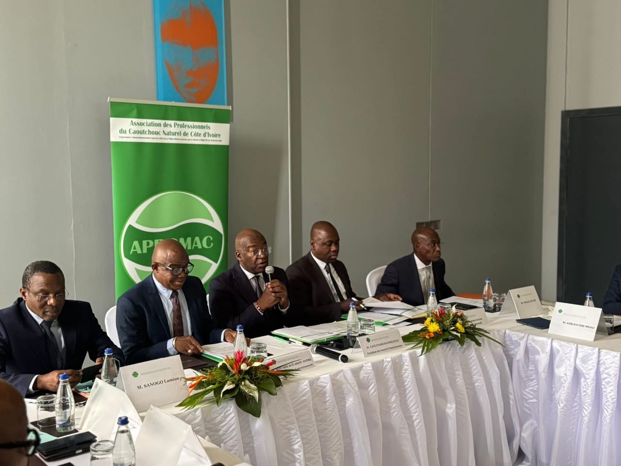 DÉVELOPPEMENT DE LA FILIÈRE HÉVÉA : L’APROMAC TIENT SA TROISIÈME RÉUNION DU CONSEIL D’ADMINISTRATION 2025.