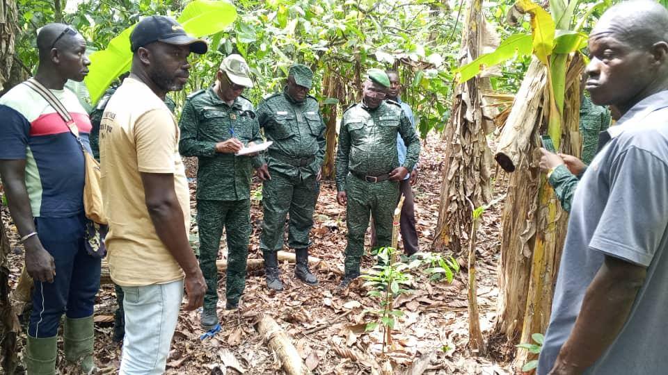 COTE D'IVOIRE - MISSION DE RENFORCEMENT DE LA GESTION DE LA RÉSERVE BOTANIQUE DE DIVO: BILAN ET PERSPECTIVES