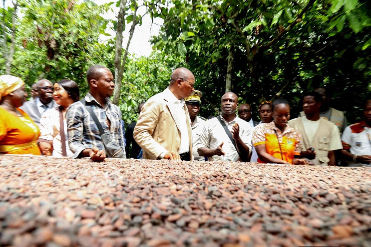COTE D’IVOIRE – BRUNO NABAGNE KONE DESCEND SUR TERRAIN POUR MIEUX APPREHENDER LES CONDITIONS DE TRAVAIL DES PRODUCTEURS DE CACAO