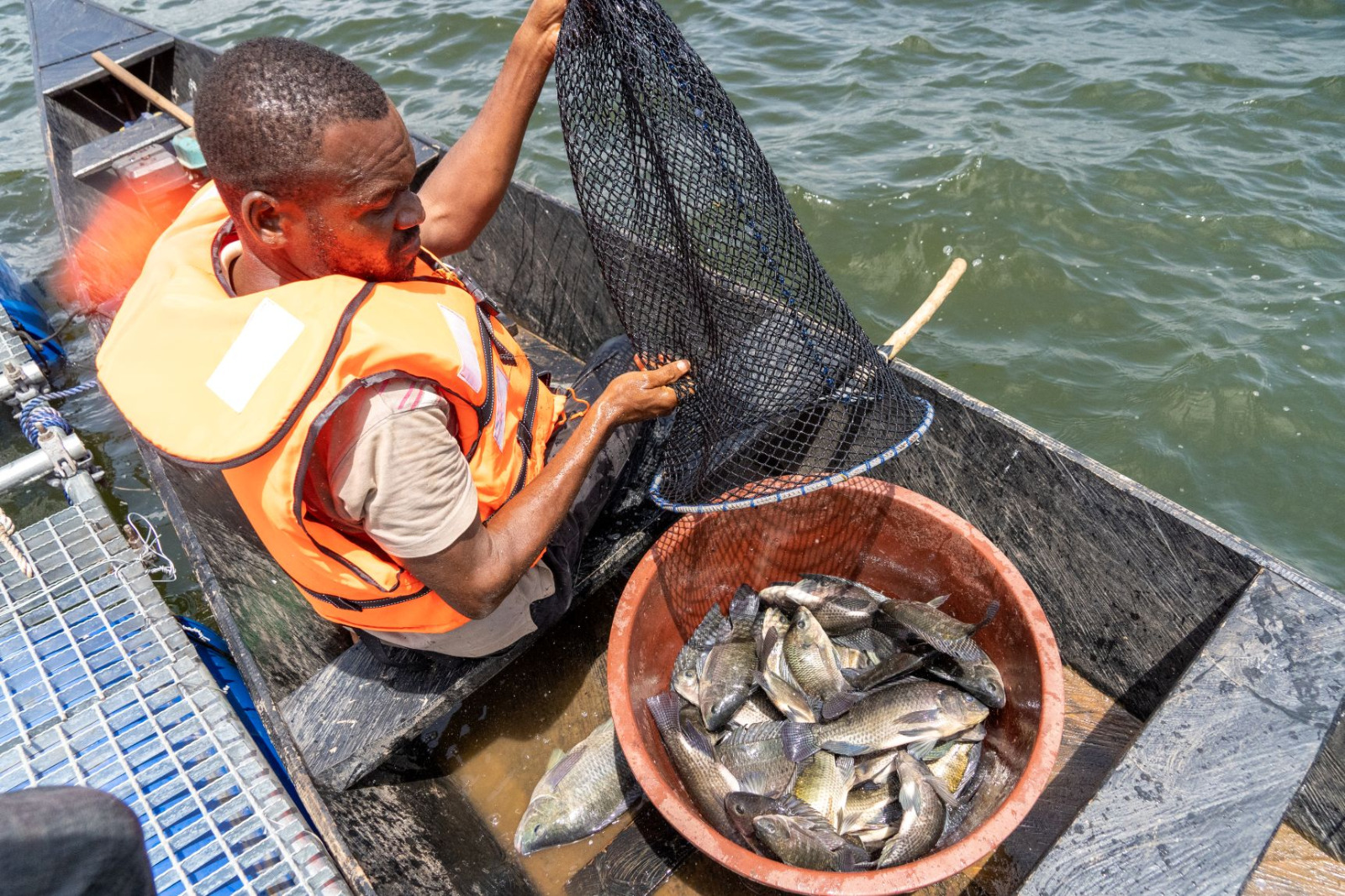 CÔTE D’IVOIRE-SÉCURITÉ ALIMENTAIRE : QUAND L’AQUACULTURE DEVIENT UN MOTEUR DE DÉVELOPPEMENT LOCAL