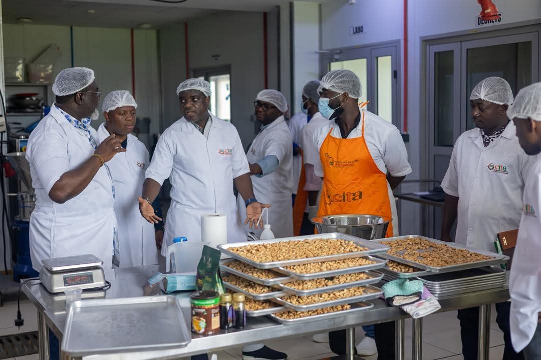 CÔTE D’IVOIRE-FILIÈRE ANACARDE : LE GHANA S’INSPIRE DU MODÈLE IVOIRIEN POUR BOOSTER SA COMPÉTITIVITÉ À YAMOUSSOUKRO