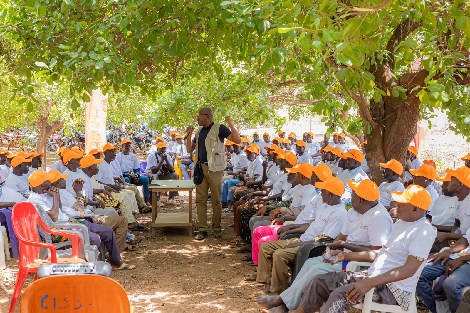 CÔTE D’IVOIRE-FILIÈRE ANACARDE : UNE CAMPAGNE DE SENSIBILISATION LANCÉE À KASSÉRE POUR AMELIORER LA QUALITÉ DES NOIX DE CAJOU