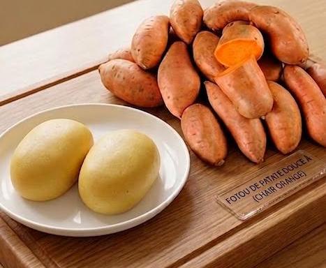 COTE D’IVOIRE - LA PATATE DOUCE A CHAIR ORANGE : UNE RIPOSTE CONCRETE A L’INSECURITE ALIMENTAIRE EN COTE D’IVOIRE