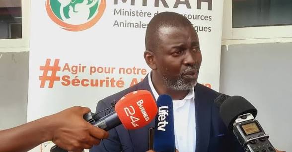 Formation vétérinaire : la Côte d’Ivoire annonce la création d’un institut spécialisé